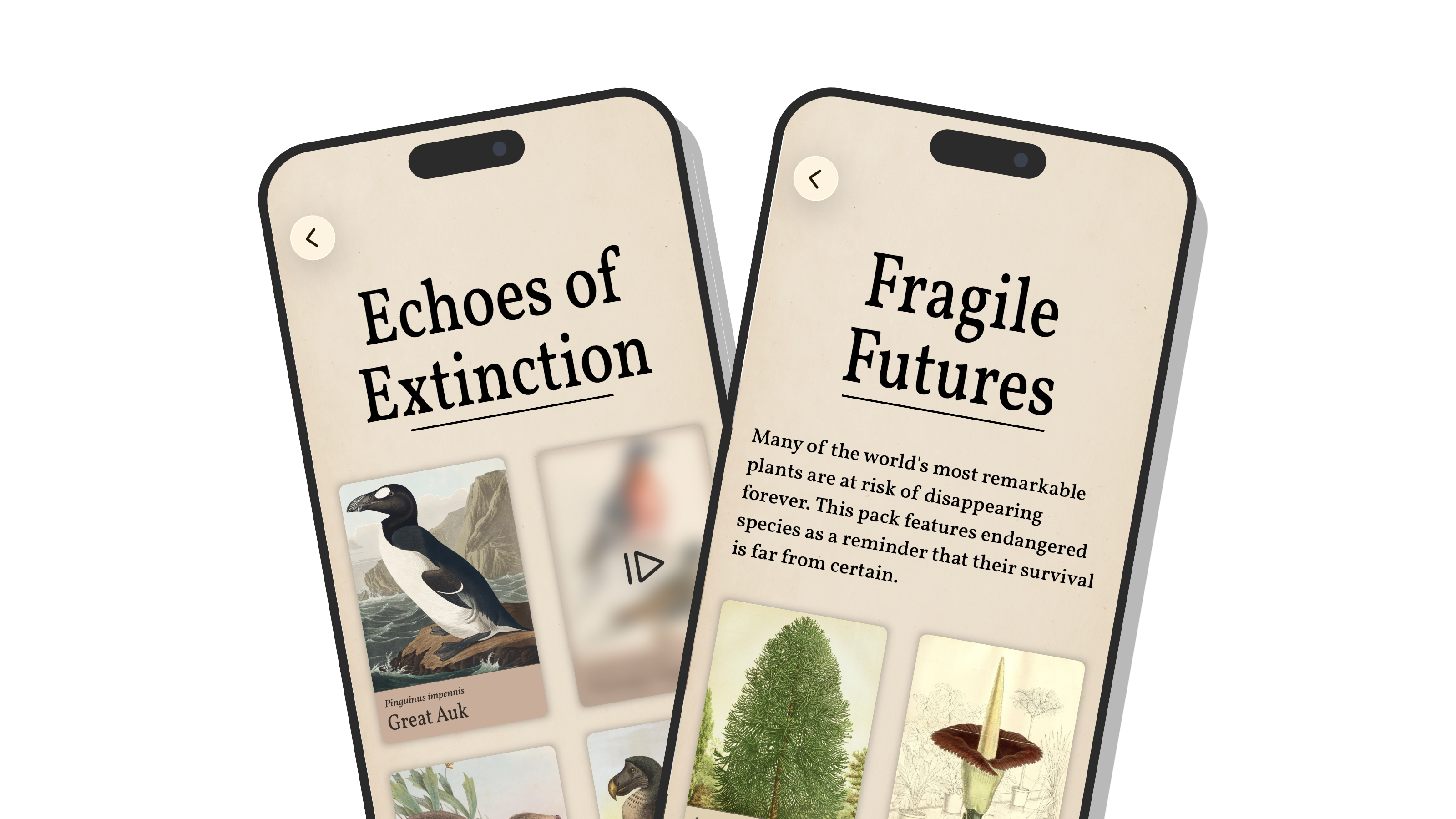 Two iPhones on a black background showcasing the Earth Day puzzle packs. The left phone displays Art of Fauna's 'Echoes of Extinction' pack with a Great Auk illustration. The right phone shows Art of Flora's 'Fragile Futures' pack, featuring endangered plant puzzles including an Amorphophallus titanum.