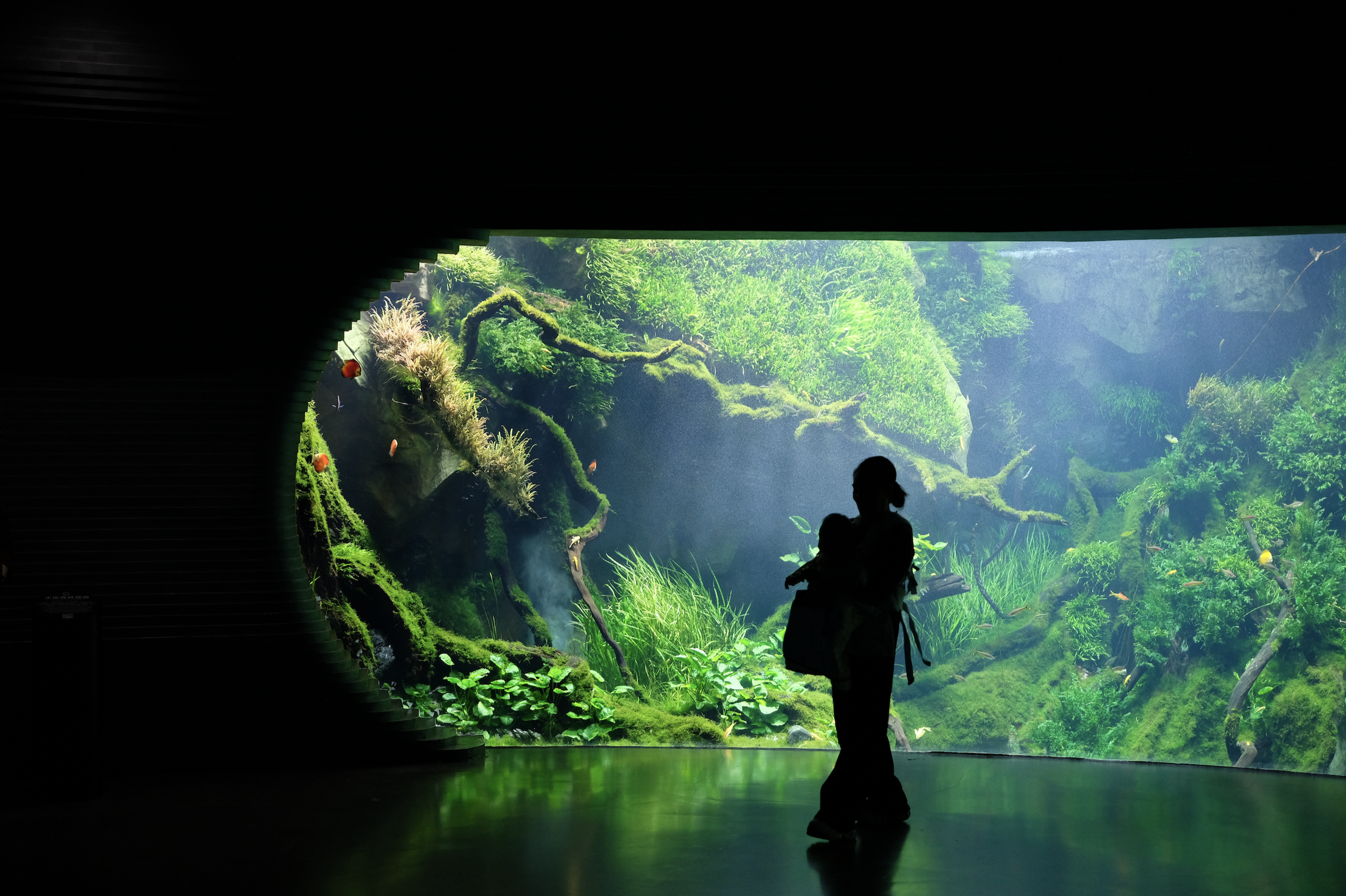 A silhouetted figure standing in a dark room in front of a massive, lush planted aquarium with moss-covered branches, tropical fish, and dense greenery glowing in green light.